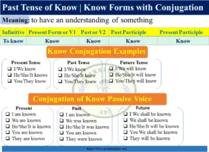 The Past Tense and Past Participle of Know with Conjugation